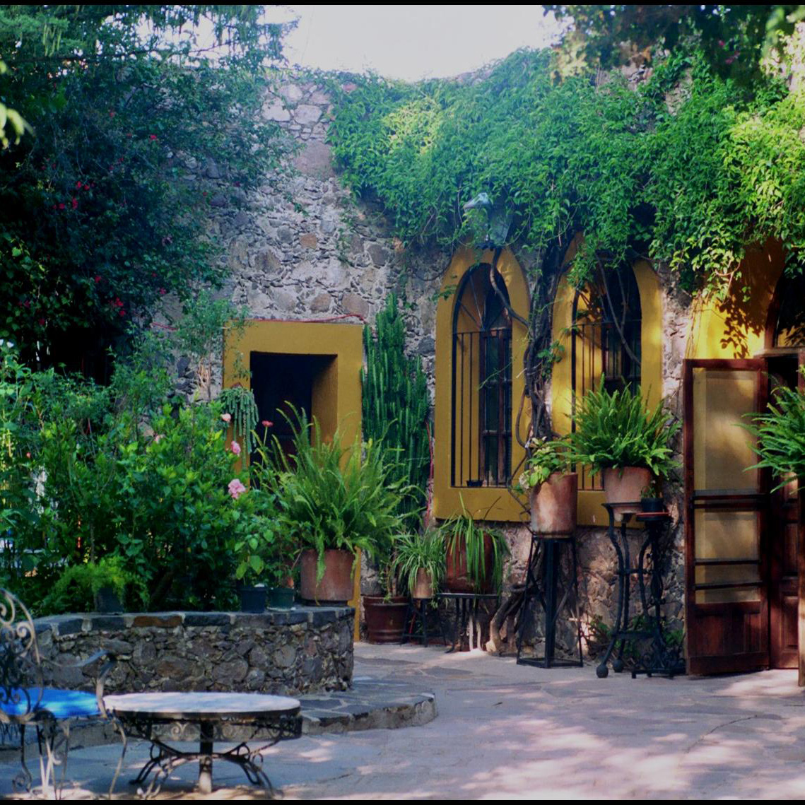 A leafy courtyard in Mexico
